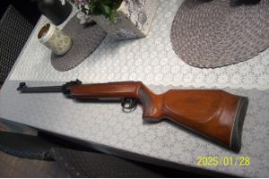 luchtbus diana  model 35